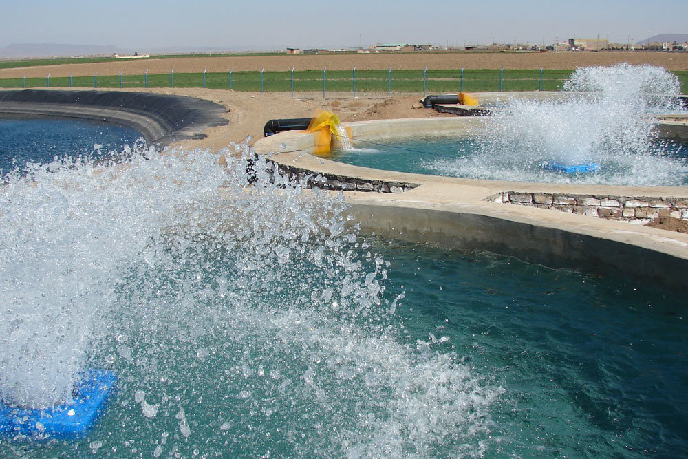 استخر پرورش ماهی استان خوزستان