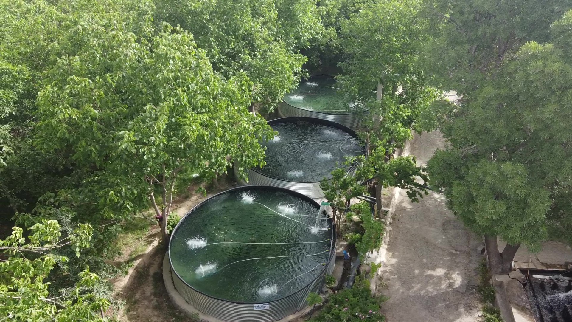 پرورش ماهی با استخر های پیش ساخته نانوسازان