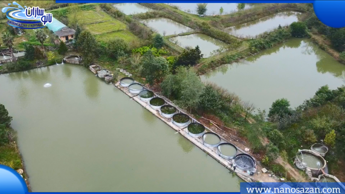 بزرگترین مزرعه پرورش ماهیان خاویاری در دل جنگل