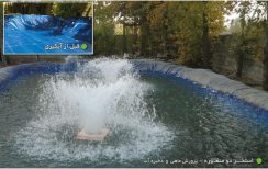 استخر دو منظوره استخر پرورش ماهی و کشاورزی